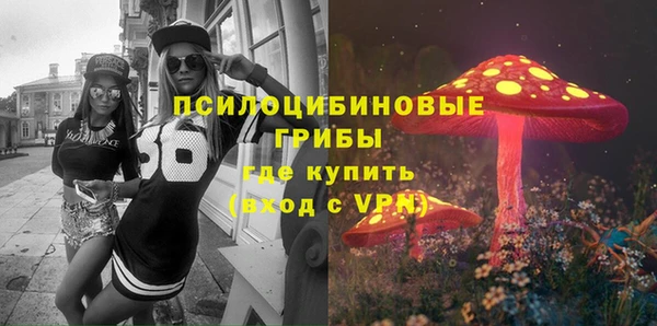 МДПВ Аркадак
