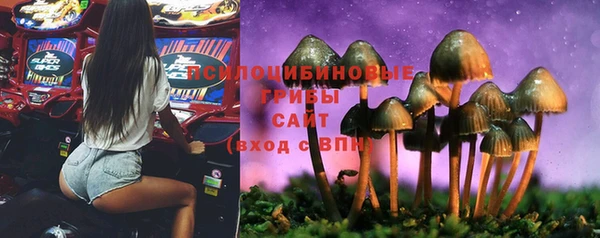 МДПВ Аркадак