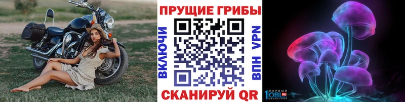 Галлюциногенные грибы ЛСД  купить наркоту  Покачи 